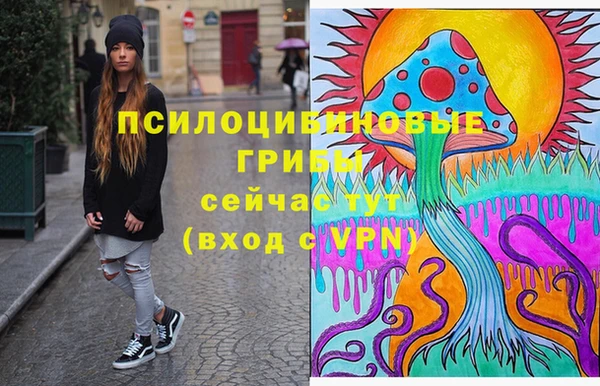 2c-b Балахна