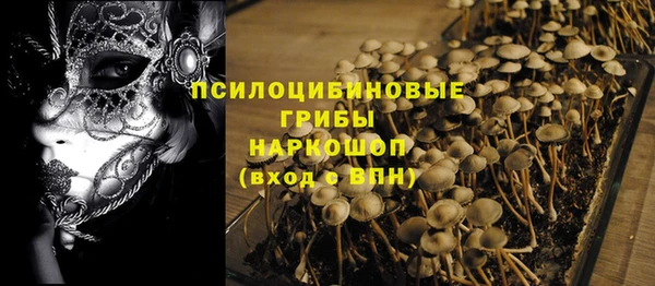 2c-b Балахна